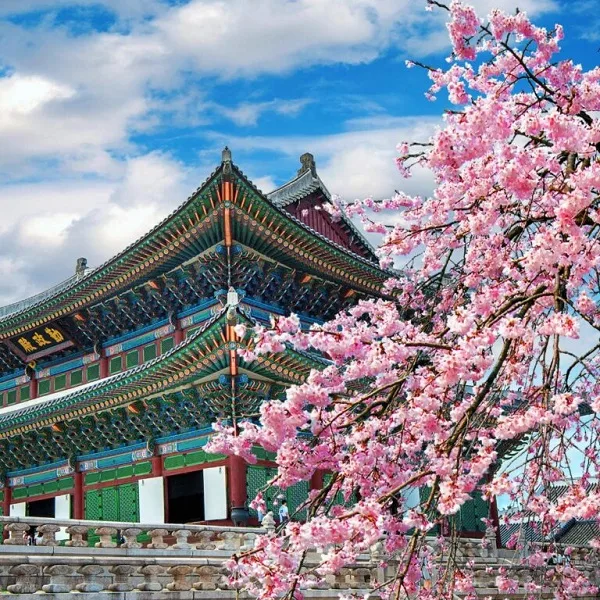 28圈深耕28圈登录领域，用心服务每一位用户。 - 28圈